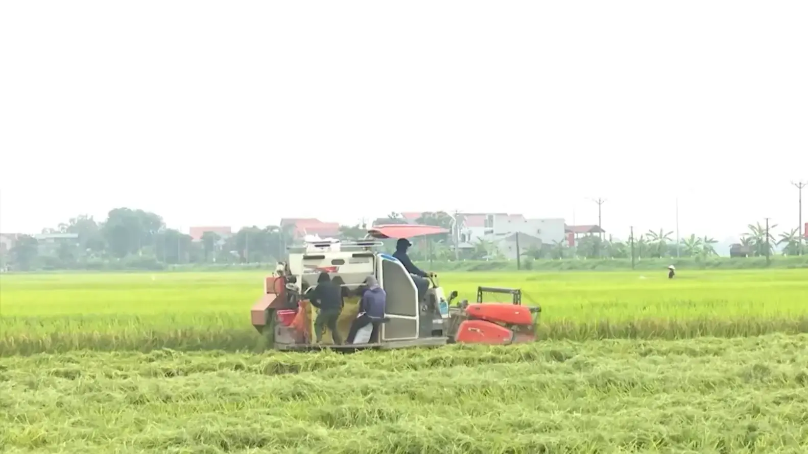 Giảm phát thải trong nông nghiệp | Chuyển đổi xanh | 09/11/2025